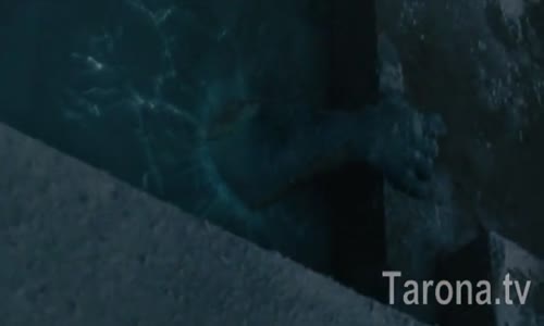 Tor 1